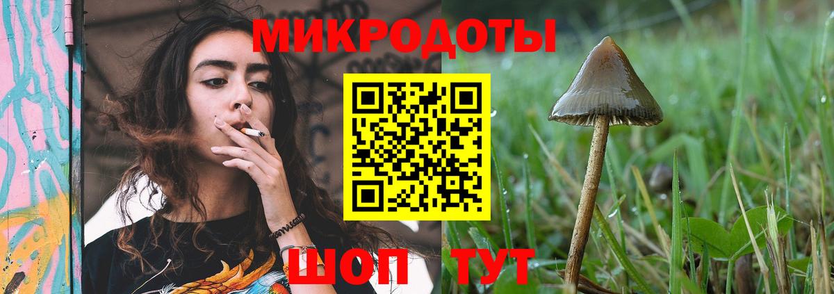 Псилоцибиновые грибы Psilocybine cubensis  Вход с VPN  Нальчик 